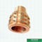 Copper Inserts Customized Designs Ppr Female Brass Inserts With Shinning Copper Color