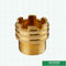 Male Brass Inserts Customized Designs For Ppr Fittings