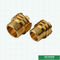Male Brass Inserts Customized Designs For Ppr Fittings