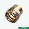 Precise Designs Female Brass Inserts Customized Designs For Ppr Fittings Italy Designs