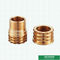 Lighter Weight Customized Precise Designs Male And Female Brass Inserts  For Ppr Fittings