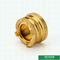 CW617N Material Lighter Designs Female Brass Inserts For Ppr Fittings