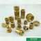 PVC Box PVC Fittings Brass Inserts Brass Color Female Brass Inserts  Customized Designs