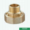 Heavier Brass Color Male Union For Ppr Fittings Customized Designs with Knurls