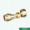 Female Threaded Coupling Pex Fittings Brass Color ISO Standard