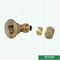 L22MM PEX Brass Fittings PN25 105 Degrees PEX Brass Elbow