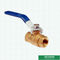 Blue Steel Handle Male Female Threaded Forged Brass Ball Valve With CW617N Material.