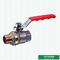 Customized Forged Brass Ball Valve Steel Handle Double Female Threaded Two Colors Ball Valve
