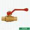 PEX Pipe Valves Brass Color Middle Weight Water Supplying Ball Valve Customized Forged Brass Ball Valve
