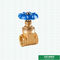 Customized 200 WOG BSPT NPT Big Style Brass Gate Valve  With Blue Iron Handle