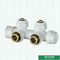 Shinning White Color Heavier H Type Thermostatic Temperature Straight Brass TRV