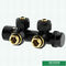 Shinning Black Color Heavier H Type Thermostatic Temperature Straight Brass TRV With Radiator Valve Head