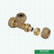 Equal Threaded Tee Pex Brass Fittings Brass Color Customized Logo Screw Fittings Middle Weight
