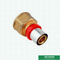 Female Threaded Coupling Compression Double Straight Brass Press Union Fittings For Pex Aluminum Pex Pipe
