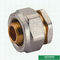 Female Pipe Plug Threaded Coupling Fittings Compression Brass Fittings Screw Fittings For Pex Aluminum Pex Pipe