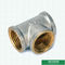 Female Threaded Tee Screw Fittings Compression Brass Fittings Pex Fittings For Pex Aluminum Pex Pipe