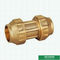 Male Threaded Coupling Screw PE Fittings Brass  PE Compression Fittings Pex Fittings For Pex Aluminum PE Pipe