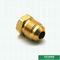 NPT Threaded Flare Fittings Male Threaded C37700 Brass Flare Fitting Flare Long Pipe Plug Fittings