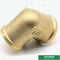 Brass Color Customized Double Female Threaded Brass Elbow With Best Prices Pipe Fittings