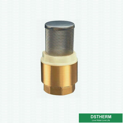 Customized Heavier Type Brass Check Valve Vertical Stainless Steel Filter For Water Pump