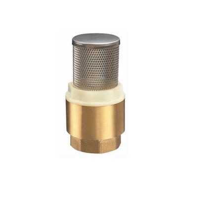 Customized Heavier Type Brass Check Valve Vertical Stainless Steel Filter For Water Pump