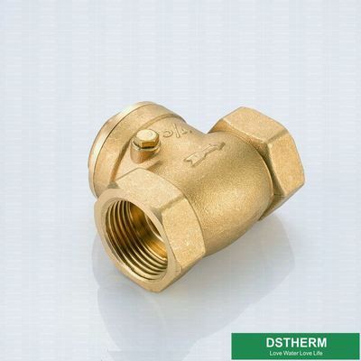 1/2-4 Inch NPT BSP Thread Soft Seal Brass Swing Check Valve