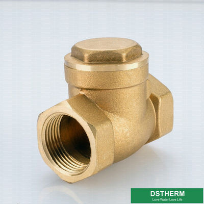 1/2-4 Inch NPT BSP Thread Soft Seal Brass Swing Check Valve